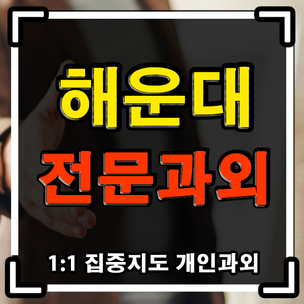 부산 해운대 과외 (좌동 중동) 초등학생 중학생 국어 영어과외 한글 파닉스 부터 고입까지 ! 부산 해운대 과외 (좌동 중동) 초등학생 중학생 국어 영어과외 한글 파닉스 부터 고입까지 !