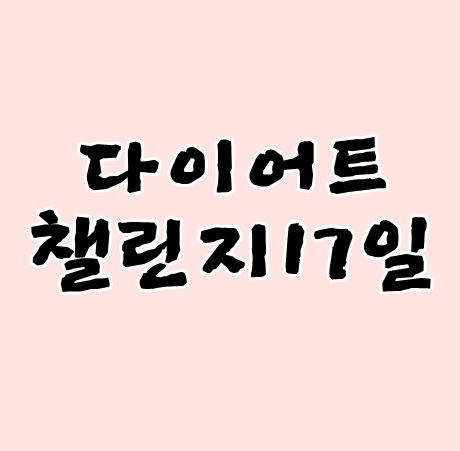 다이어트챌린지 17일 