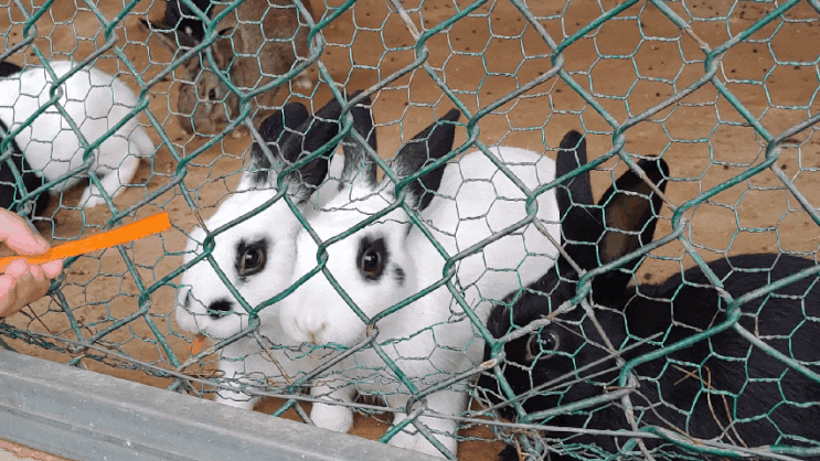  [행복] 구미 가볼만한 곳, 구미 시민의 쉼터, 동락공원 다녀왔네요~*^0^*/