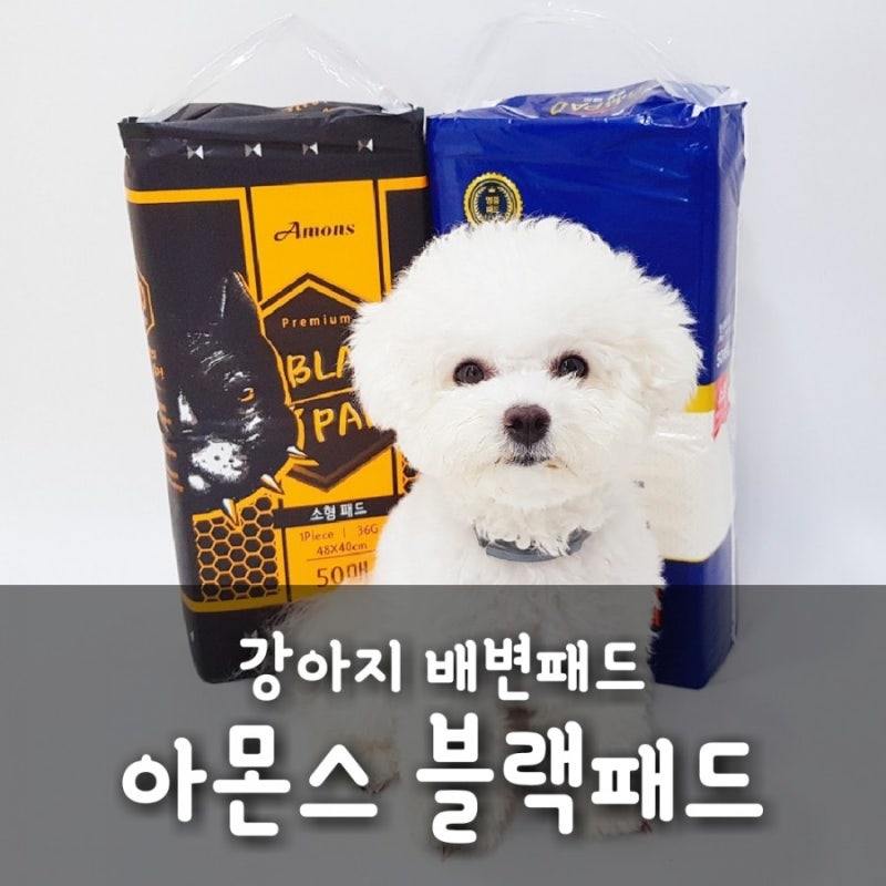 강아지 배변패드 아몬스 블랙패드 냄새제거, 흡수력 갑