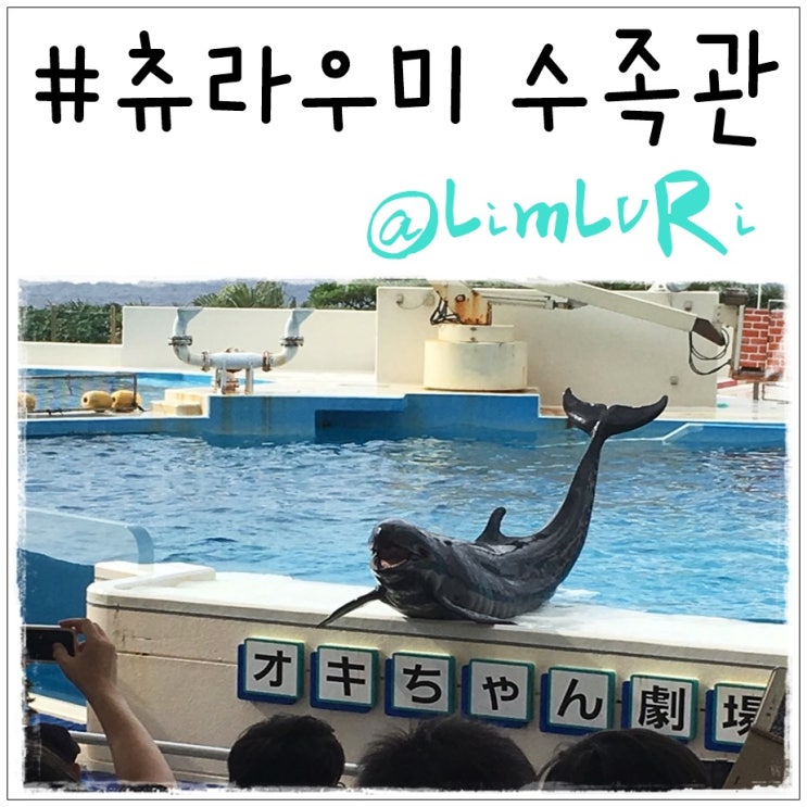  오키나와 츄라우미 수족관 돌고래쇼 1탄! (feat.버스투어)