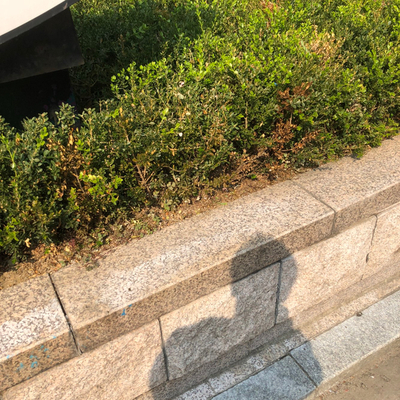  스트레스를 많이 받는 날에는 햇빛속으로