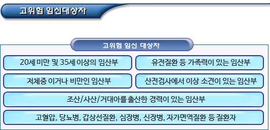 임신신고 및 임산부 건강관리 지원 임신신고 및 임산부 건강관리 지원