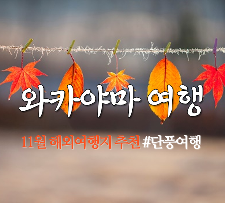  11월 해외여행지 추천, <일본 와카야마 여행> 가을 단풍여행으로 딱이야