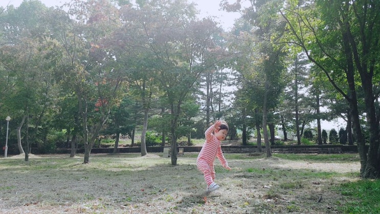  구미 근교 가을 오토 캠핑 아이랑 갈만할곳 [ 상주 우산 오토 캠핑장 ]