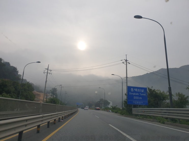 미세먼지 시작 ㅠㅠ