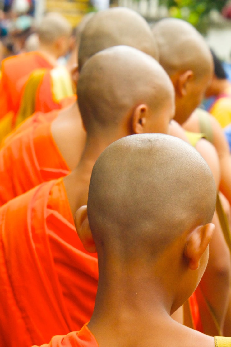  수도승이 되고 가장 먼저 배운 것 (The first thing I learned as a monk)