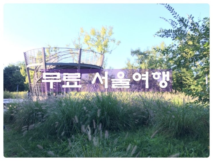  [서울여행/무료 가을나들이] 서울숲,한강 뚝섬유원지 자벌레,세빛섬,석촌호수