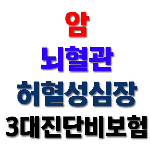  3대진단비보험 암 뇌혈관 허혈성심장 추천드리는 회사가 있어요