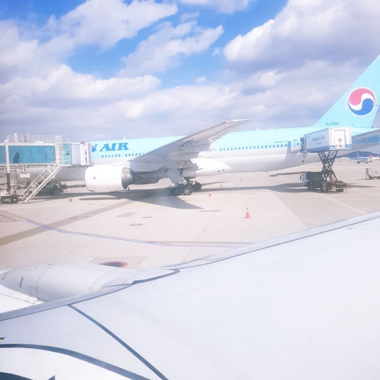 스킨케어 중국 출장 다녀왔어요