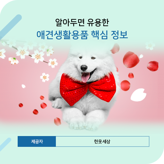  광주 헌옷매입 나만 알아두고 싶은 애견생활용품 시크릿 정보