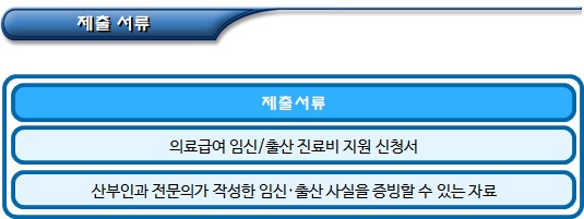 임산부 의료급여 진료비 지원 임산부 의료급여 진료비 지원
