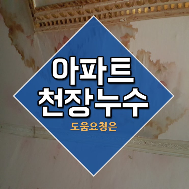  아파트천장누수 도움요청은