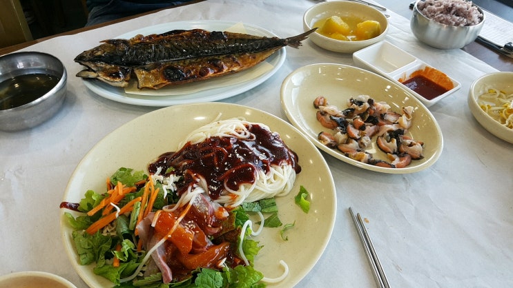  제주도맛집 해녀촌 회국수 고등어구이