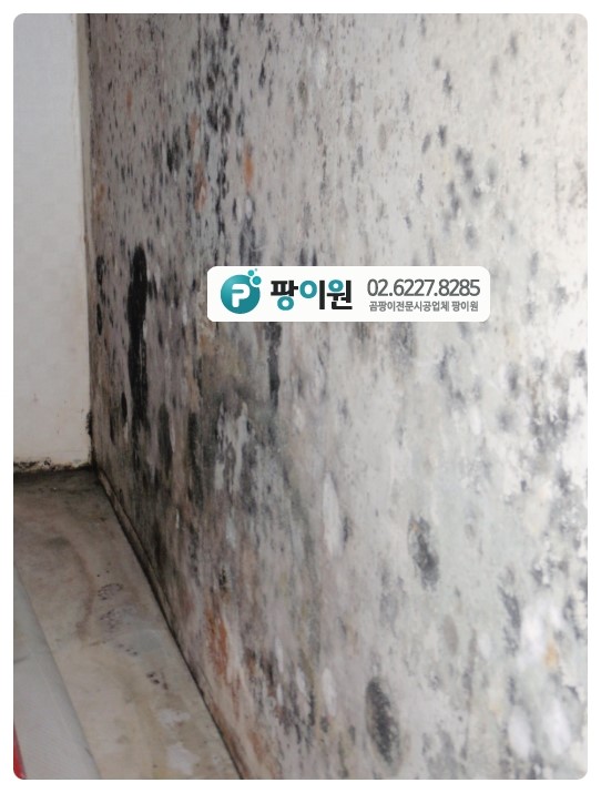  이것이 결로현상 벽지곰팡이!