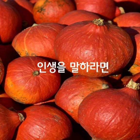  인생을 말하라면