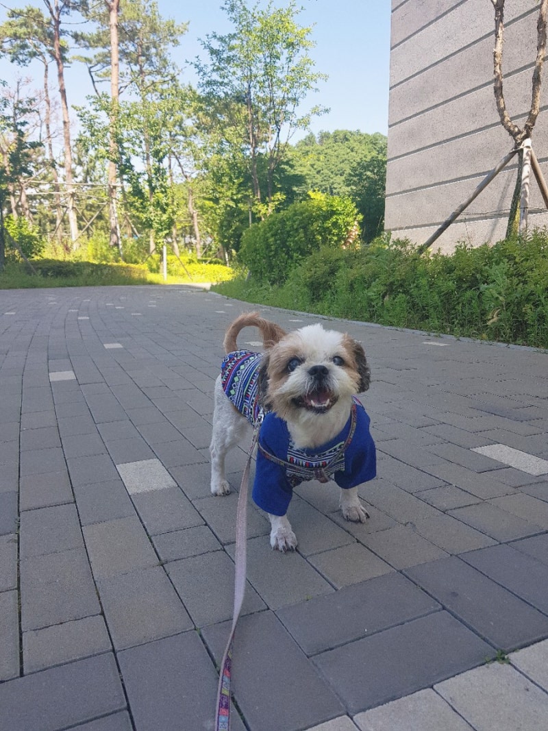 hi.choco (@chocomilk2271) • Instagram photos and videos, image size:800x1067