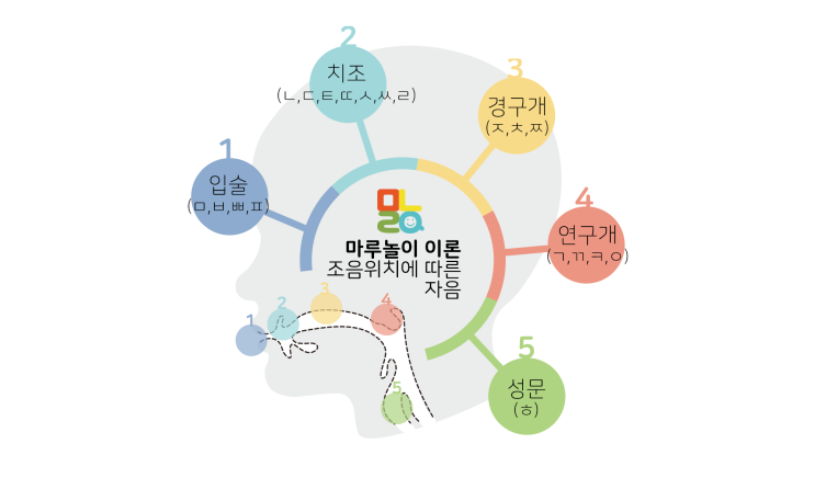  (마루놀이 이론 편) 조음 위치에 따른 자음 [광주 전남 나주 혁신도시 언어치료 마루놀이]