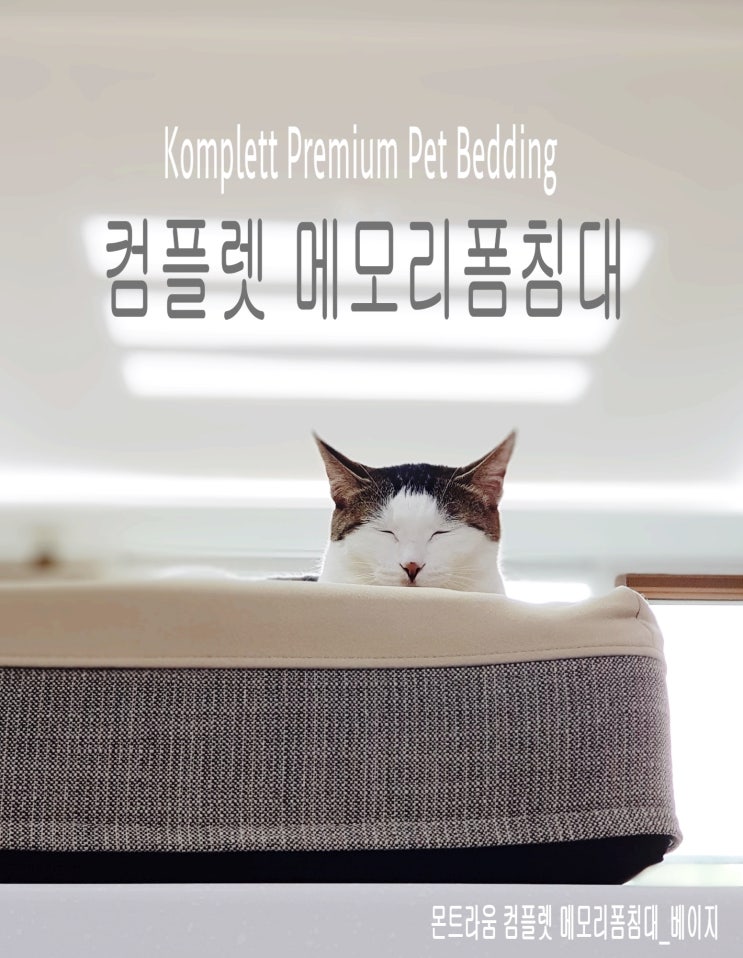  고양이 메모리폼침대 2종 사용기_몬트라움 컴플렛베드 베이지&그레이