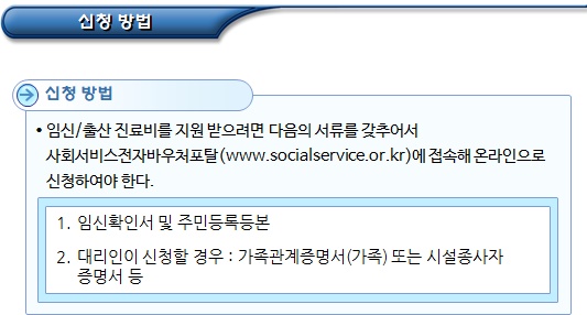 임산부 건강보험 진료비 및 청소년산모 의료비 지원