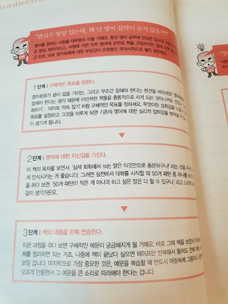 토비네 할로윈 🎃 우리나라에서 웬 남의 나라 귀신놀이냐고? 할로윈의 기원이 어느 나라인지 아는사람?! ✋️ 댓글 달아봐~ 우리 남편이  그 나라 사람이야. 골든리트리버 할로윈 호박 남편이 파냄 할로윈의 기원, image size:800x1067