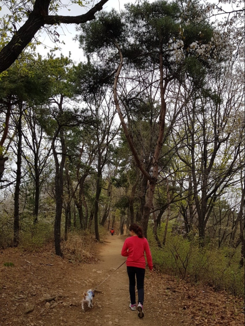 민낯 (@mean__not) • Instagram photos and videos, image size:800x1063