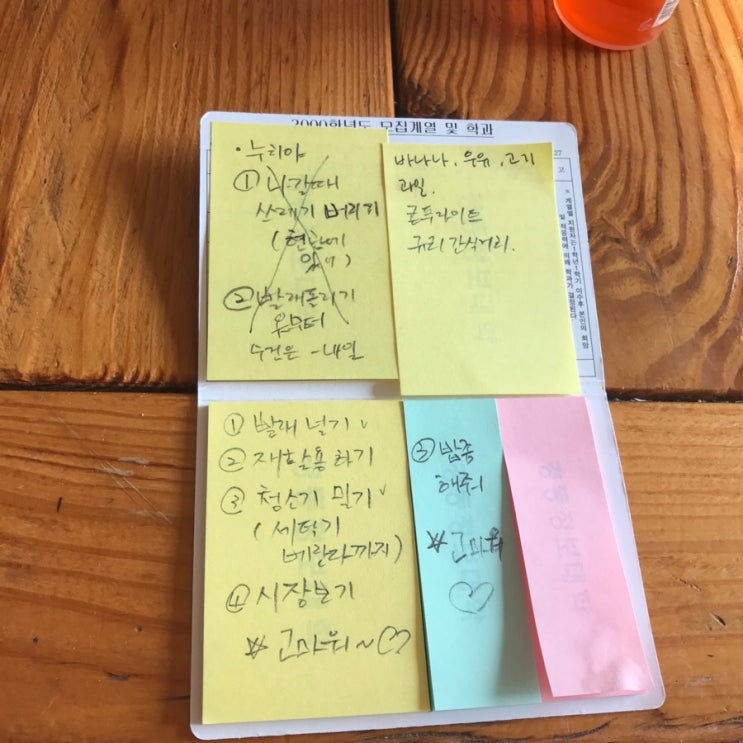  IN 고성