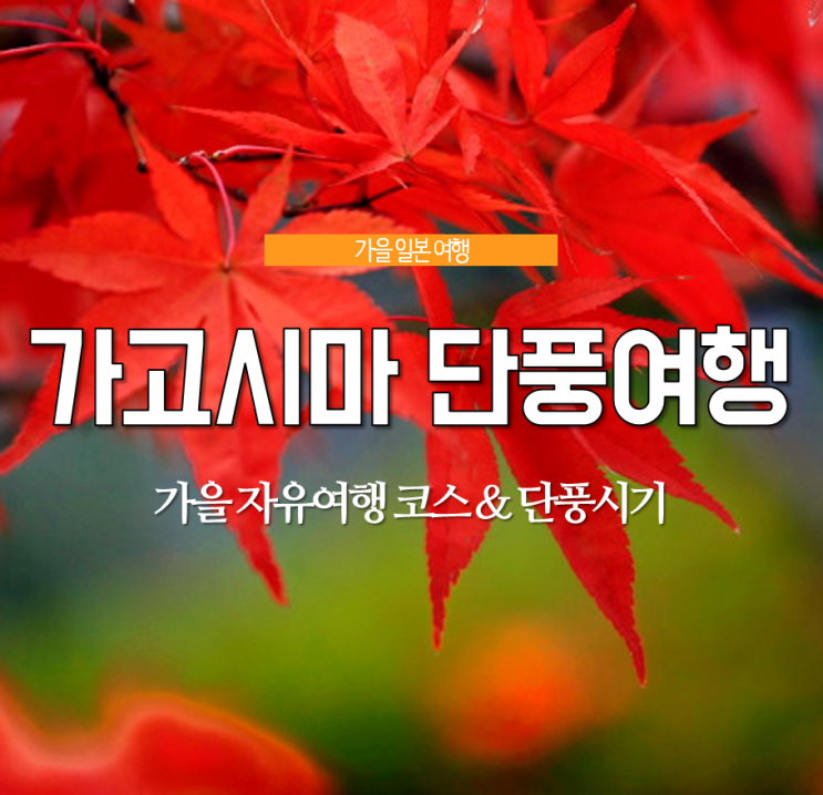  일본 소도시 여행 <가고시마 자유여행> 11월 단풍여행코스