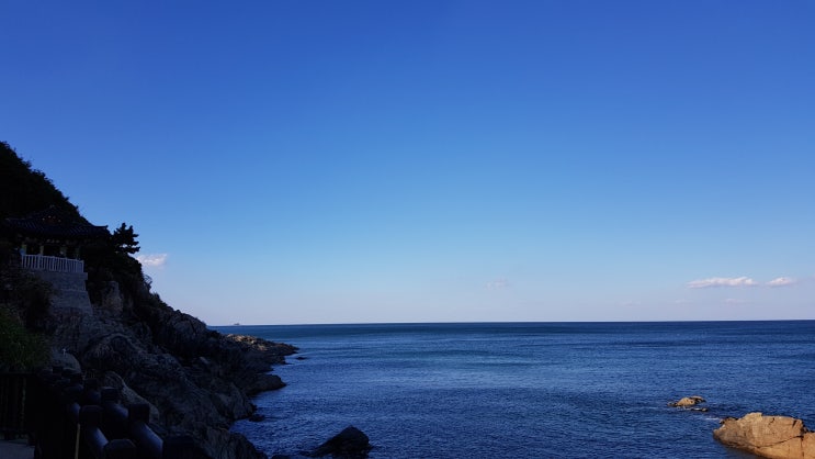  +217일 컨신이와 함께한 속초여행 (feat. 처음 본 바다,10/10)