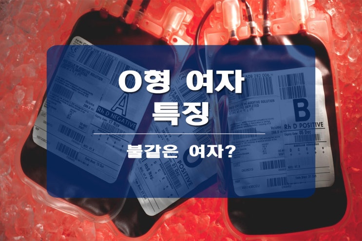  o형 여자 특징 네 가지