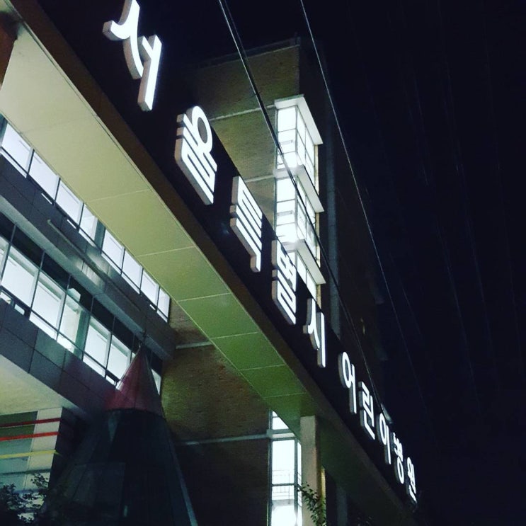  서울시립아동병원 프로젝트 기획