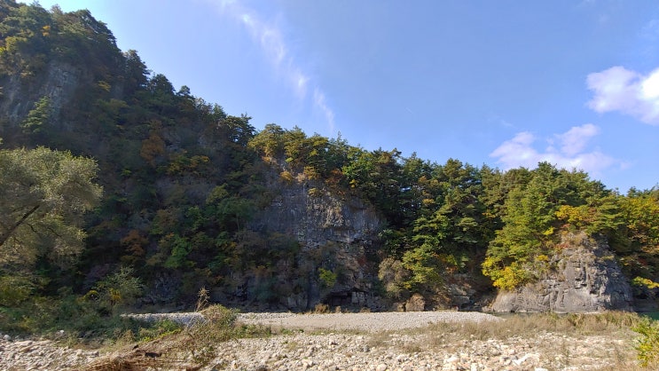 물매화 없는 구길 쇄재 , 씨가 마른 함백산 만항재 야생화 물매화 없는 구길 쇄재 , 씨가 마른 함백산 만항재 야생화