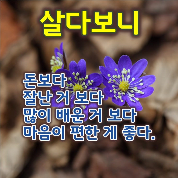  인스타 사랑 글귀-[살다보니]