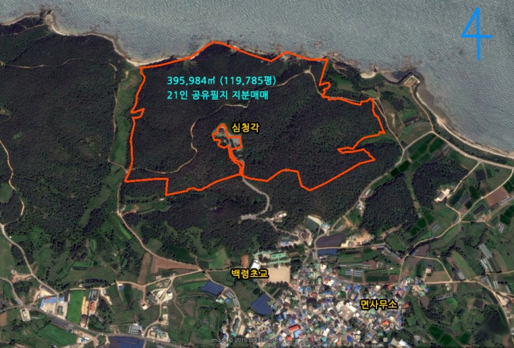  백령도 진촌리 (임) 보전관리지역 395,984㎡ 지분매매 5,700만원 【심청각 있는 산】