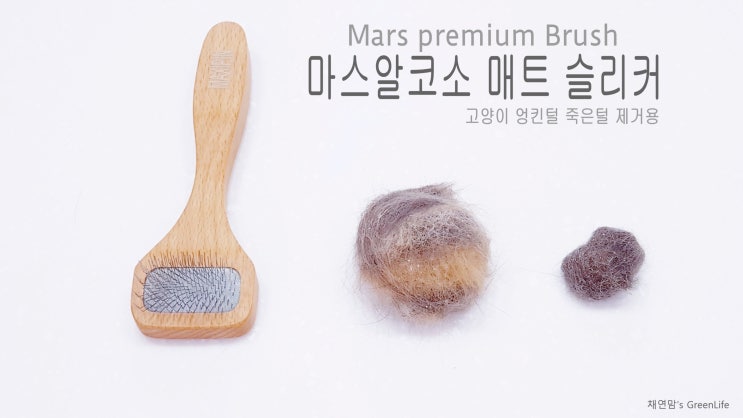 고양이 털갈이시즌 그루밍 필수템 귀여운빗_몬트라움 마스알코소 매트 슬리커