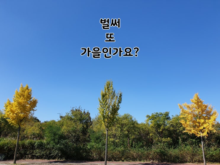  벌써, 또 가을인가요?