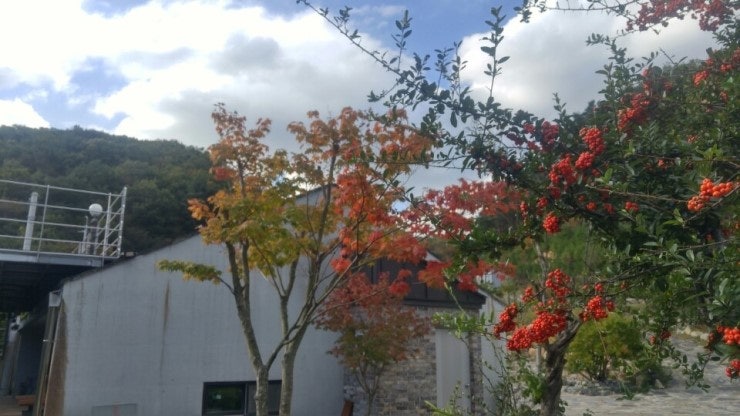 정펜션 사진 5