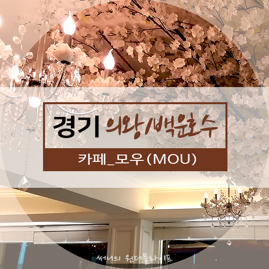  [경기의왕] 백운호수 밤마실 드라이브, 카페 모우