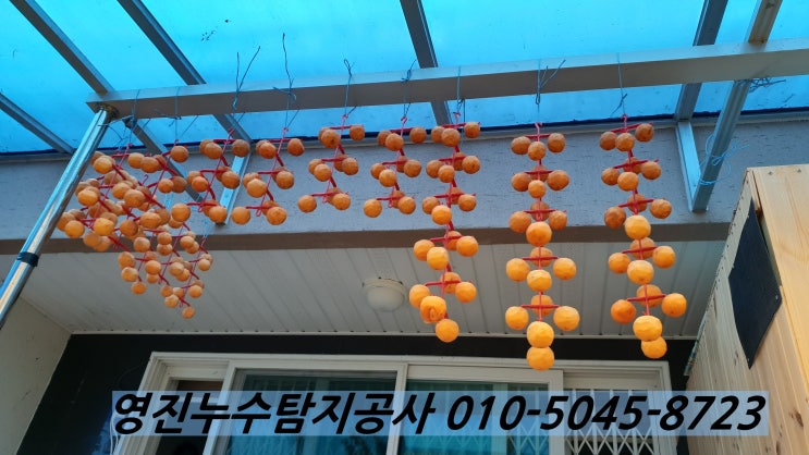  대전누수 때문에 지하실에 보관한 고추가 다 젖었어요.(서구 월평동 누수와 유성구 원내동 누수 편)