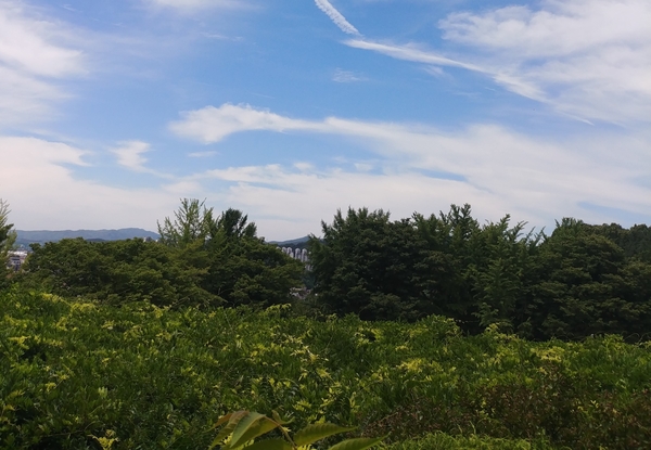  친환경농산물 직거래 지원 자금