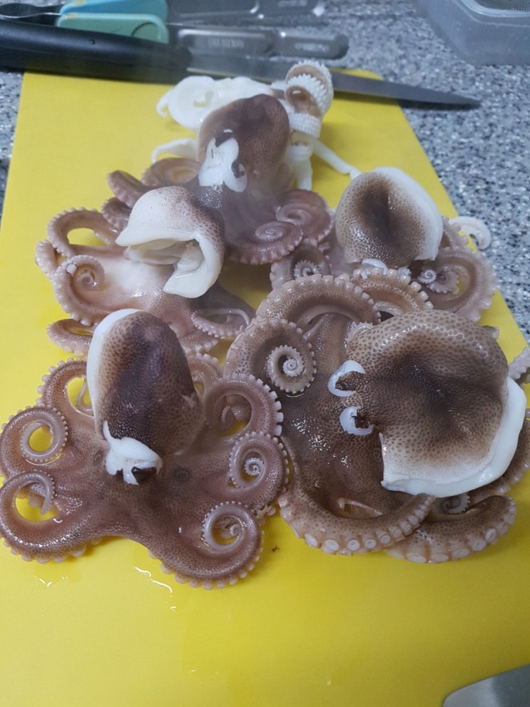  주꾸미 선상낚시~ 초라한 조과ㅜㅜ 하지만 맛있다 ㅋㅋ