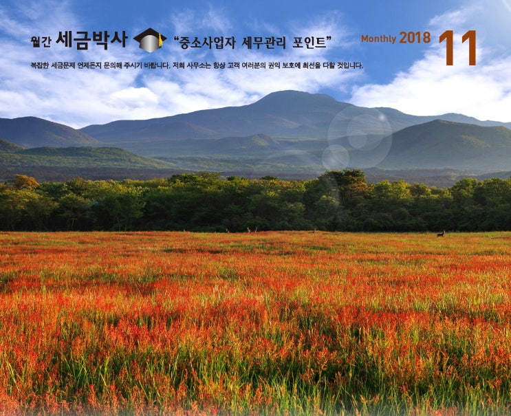  [세금박사] 법인으로 전환해도 3년간은 성실신고확인 대상