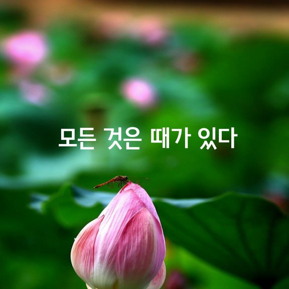  모든 것은 때가 있다