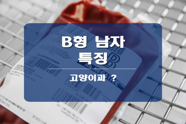  B형 남자 특징 살펴보기