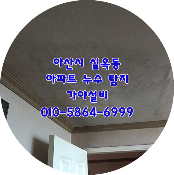  아산시 실옥동 벽산아파트 벽산늘푸른아파트 수도배관누수 누수탐지 누수공사