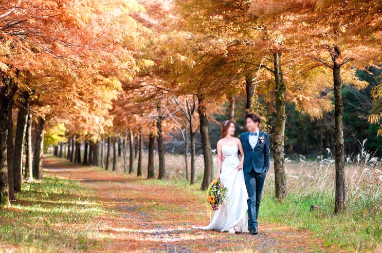  제주시 아라 웨딩스냅촬영 풀패키지 36% 할인꿀팁!