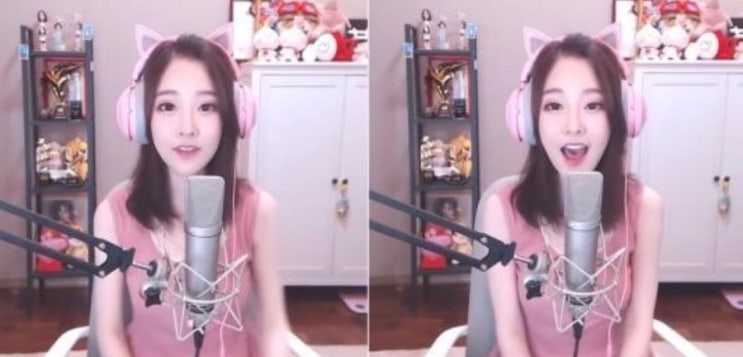  펑티모 고양이송 한국어버전?/펑티모 렛잇고/고양이송2/병아리송