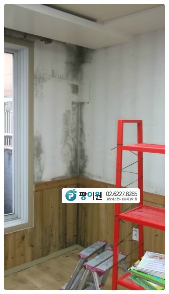  집 곰팡이 발생? 단열벽지 제대로 사용법은?