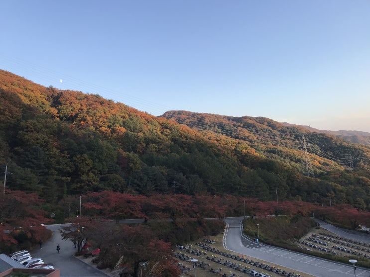  악마를 보았다 "예래원 업힐"