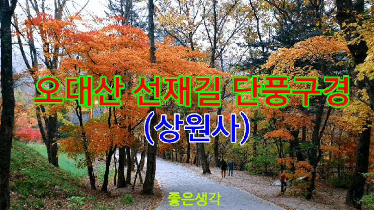  오대산 선재길 단풍구경2